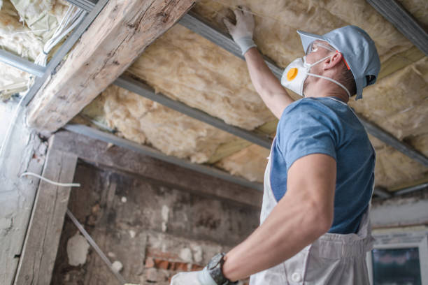 Best Eco-Friendly Insulation in Orchard Mesa, CO