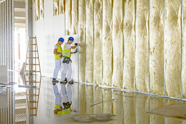 Best Cellulose Insulation in Orchard Mesa, CO
